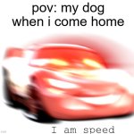 I Am Speed | pov: my dog when i come home | image tagged in i am speed | made w/ Imgflip meme maker