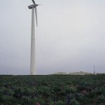 Wind Turbine