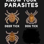 Tick