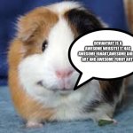 The Guinea pig of wisdom loves Deviantart | DEVIANTART IS A AWESOME WEBSITE! IT HAS AWESOME FANART,AWESOME ANIME ART AND AWESOME FURRY ART! | image tagged in happy guinea pig | made w/ Imgflip meme maker