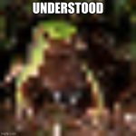 this frog | UNDERSTOOD | image tagged in frog | made w/ Imgflip meme maker