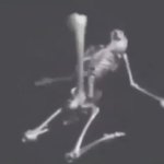 Skeleton boner template