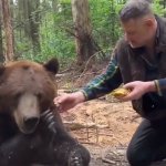 bear: no thank you