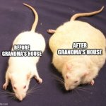 Two rats | AFTER GRANDMA'S HOUSE; BEFORE GRANDMA'S HOUSE | image tagged in two rats,grandma | made w/ Imgflip meme maker