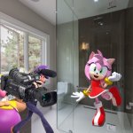 Wario and Waluigi dies by Amy rose beating them up while filming her in the shower | image tagged in shower glass installation,wario dies,waluigi,amy rose,sonic the hedgehog,crossover | made w/ Imgflip meme maker