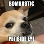 When your dog is jealous of you and your boyfriend | BOMBASTIC; PET SIDE EYE | image tagged in yuki the chihuahua,funny,pets,jealous girlfriend,side eye | made w/ Imgflip meme maker