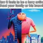 Evil :) | How it feels to be a furry online
without your family or irls knowing | image tagged in half evil half nice gru | made w/ Imgflip meme maker