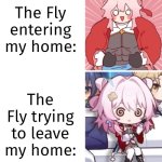 I wish those fly are also smart to leave our home. | The Fly entering my home:; The Fly trying to leave my home: | image tagged in memes,funny,relatable,fly | made w/ Imgflip meme maker