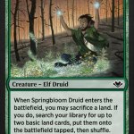 Springbloom druid