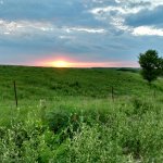 Prairie and sunset