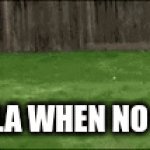 Elon, ya gotta problem | TESLA WHEN NO GPS | image tagged in gifs,funny | made w/ Imgflip video-to-gif maker