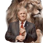 TRUMP LION