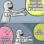 i was bored so i made this dumb meme | THE BIRDS TAUNTING HER OUTSIDE MY WINDOW; MY CAT; THE BIRDS TAUNTING HER; THE BUG SCREEN PREVENTING HER FROM LEAPING OUT THE WINDOW; MY CAT | image tagged in memes,running away balloon,cat,window,birds | made w/ Imgflip meme maker