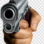 gun