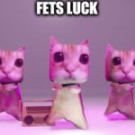 How did you read it | FETS LUCK | image tagged in gifs,cat | made w/ Imgflip video-to-gif maker