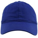 BlueHat