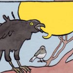 Annoying Crow