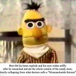 Monosacharide Seizure | Bert felt his heart explode and his eyes widen stiffly after he ransacked and ate the whole content of the candy store, shortly collapsing from what doctors calls a “Monosacharide Seizure” | image tagged in sesame street bert | made w/ Imgflip meme maker