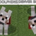 Football team comparison | MIAMI DOLPHINS; DENVER BRONCOS | image tagged in minecraft dog comparison,funny memes | made w/ Imgflip meme maker