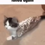 foiled again GIF Template