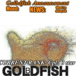 Golbdfish Announcment meme