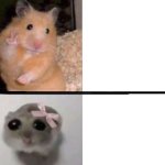 Hamster ?