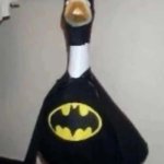 bat duck