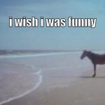 hdjwsk | i wish i was funny | image tagged in horse staring at ocean | made w/ Imgflip meme maker