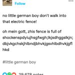 no little german boy dont walk into that electric fence!