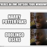 what other examples can you think of? | THERES AN OWL OUTSIDE YOUR WINDOW! HARRY POTTER FANS; DUOLINGO USERS | image tagged in happy then sad,duolingo,harry potter | made w/ Imgflip meme maker