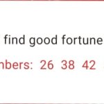 Fortune Love 68