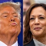 Kamala Harris is about to beat up Donald Trump. This excites him