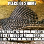 Pleco of shame