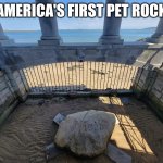 America's First Pet Rock | AMERICA'S FIRST PET ROCK | image tagged in plymouth rock | made w/ Imgflip meme maker