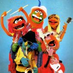 the Muppet show