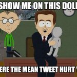 Show me on this doll | SHOW ME ON THIS DOLL; WHERE THE MEAN TWEET HURT YOU | image tagged in show me on this doll | made w/ Imgflip meme maker