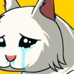 $crying cat