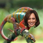 Kamala chameleon