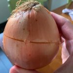 Ike Onion