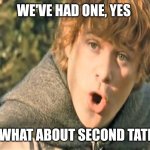 Samwise Gamgee | WE'VE HAD ONE, YES; BUT WHAT ABOUT SECOND TATERS? | image tagged in samwise gamgee | made w/ Imgflip meme maker