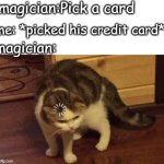 bro got dumbfounded | magician:Pick a card; me: *picked his credit card*; magician: | image tagged in dumb cat brain loading | made w/ Imgflip meme maker