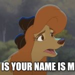 Is your name is Mr age | HELLO IS YOUR NAME IS MR AGE | image tagged in dixie is like who are you,the fox and the hound 2 | made w/ Imgflip meme maker