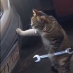 Garage Cat template