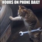 Me in future after spending 12 hours on phone daily now | ME IN FUTURE AFTER HAVING SPENT 12 HOURS ON PHONE DAILY | image tagged in garage cat,funny,funny memes,not funny,sad,sad but true | made w/ Imgflip meme maker