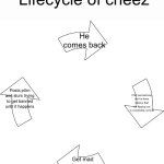 Lifecycle of cheez meme