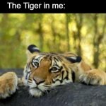 Let's be Dank about it | "You have a Tiger in you"; The Tiger in me: | image tagged in confession tiger,dank | made w/ Imgflip meme maker