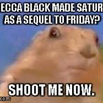 Dramatic Chipmunk | REBECCA BLACK MADE SATURDAY AS A SEQUEL TO FRIDAY? SHOOT ME NOW. | image tagged in dramatic chipmunk | made w/ Imgflip meme maker