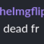 chat so dead fr meme