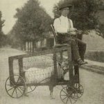 1900 car template