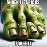 ugly shrek toes | SHREK FEET PICKS; FOR FREE | image tagged in ugly shrek toes | made w/ Imgflip meme maker